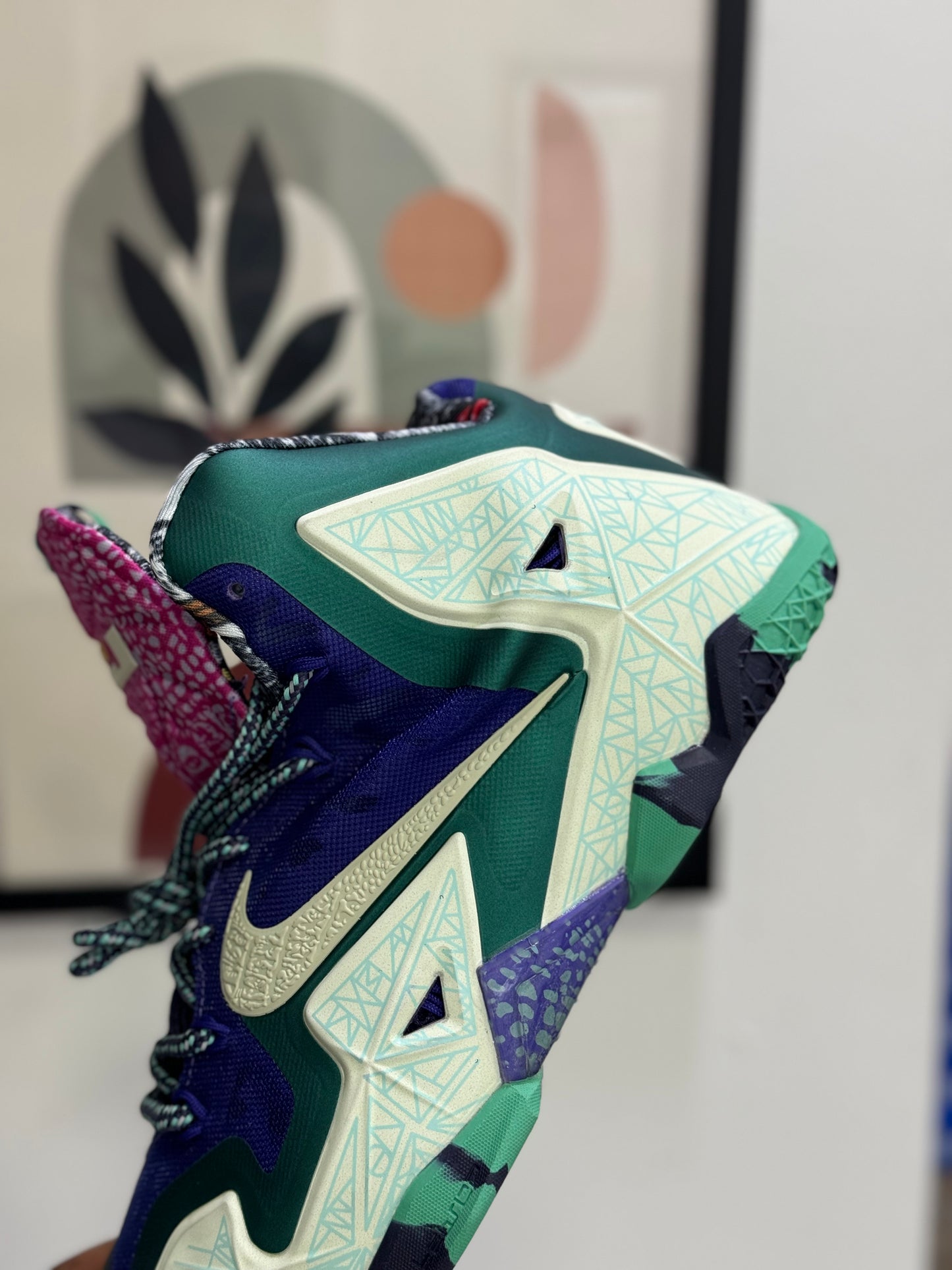 Nike Lebron