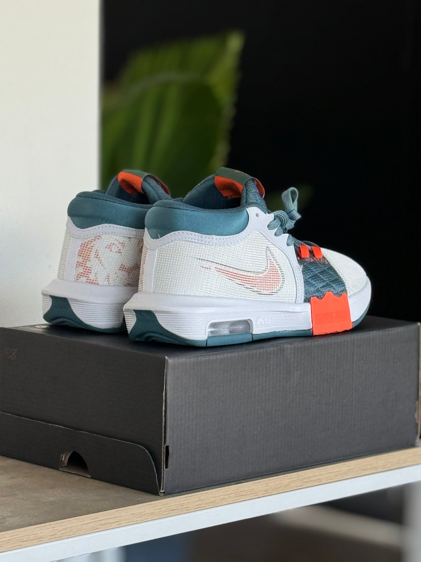 Nike Lebron