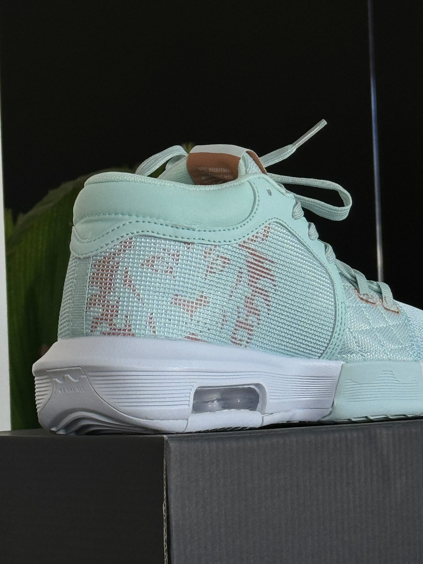 Nike Lebron