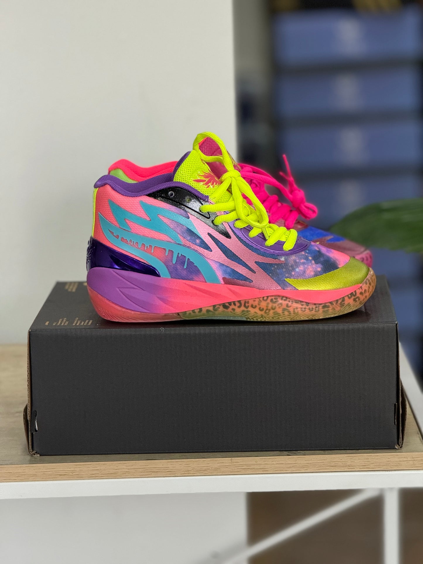 Puma Melo