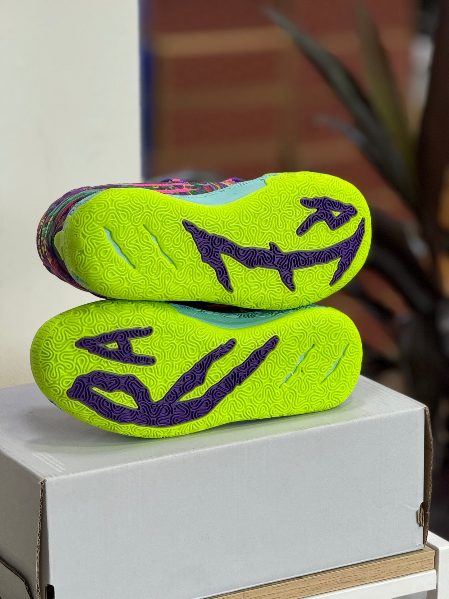Puma Melo