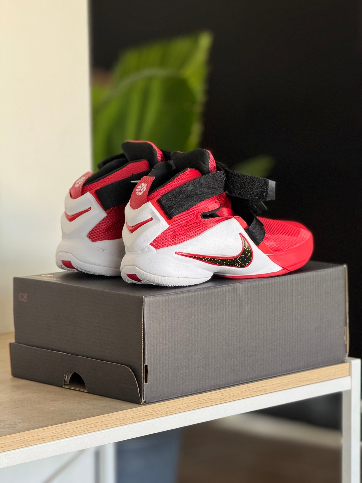 Nike Lebron Soldier