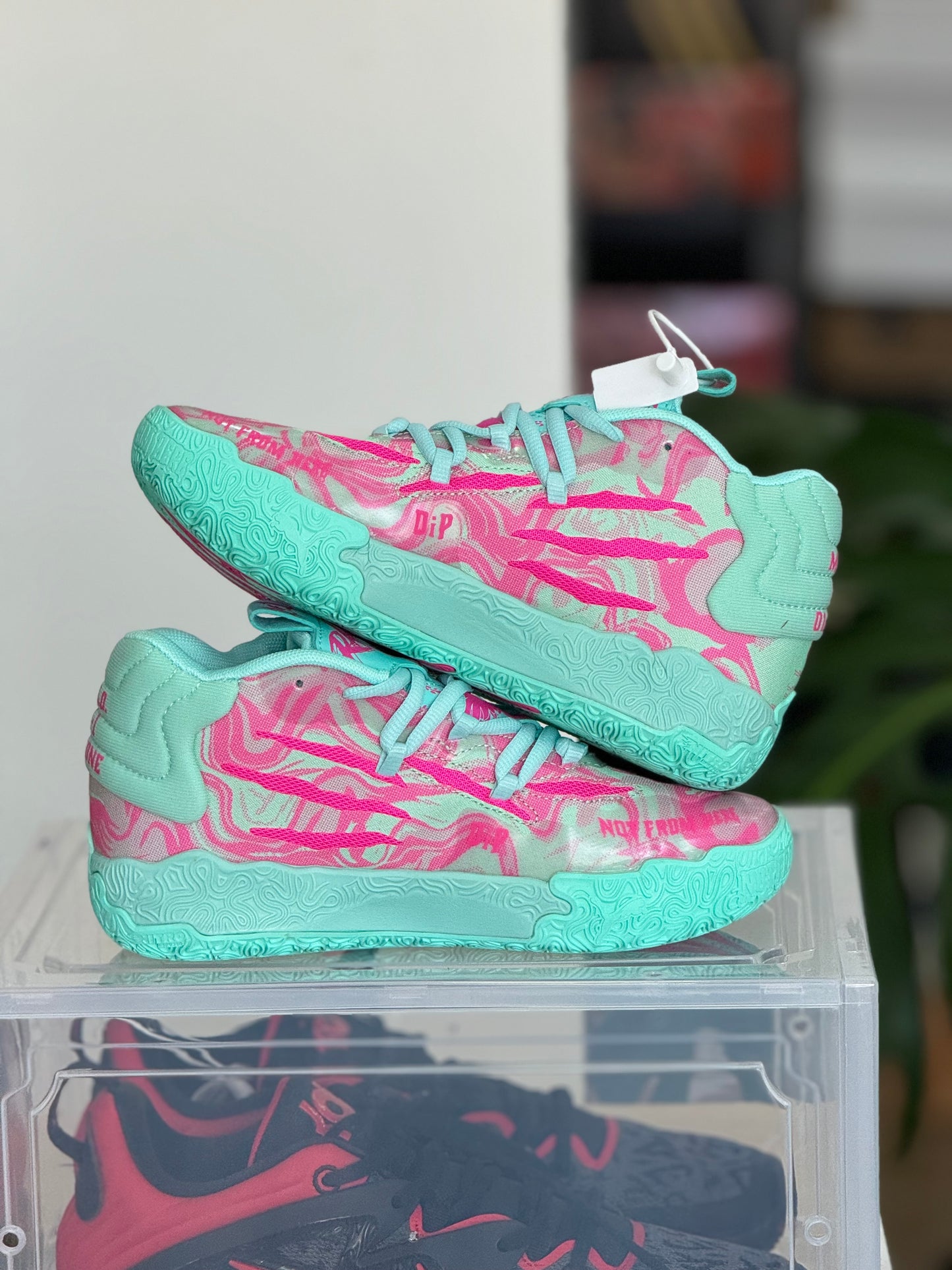 Puma Melo