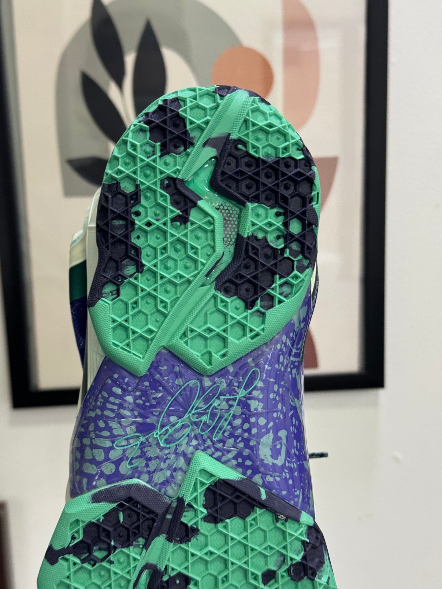Nike Lebron