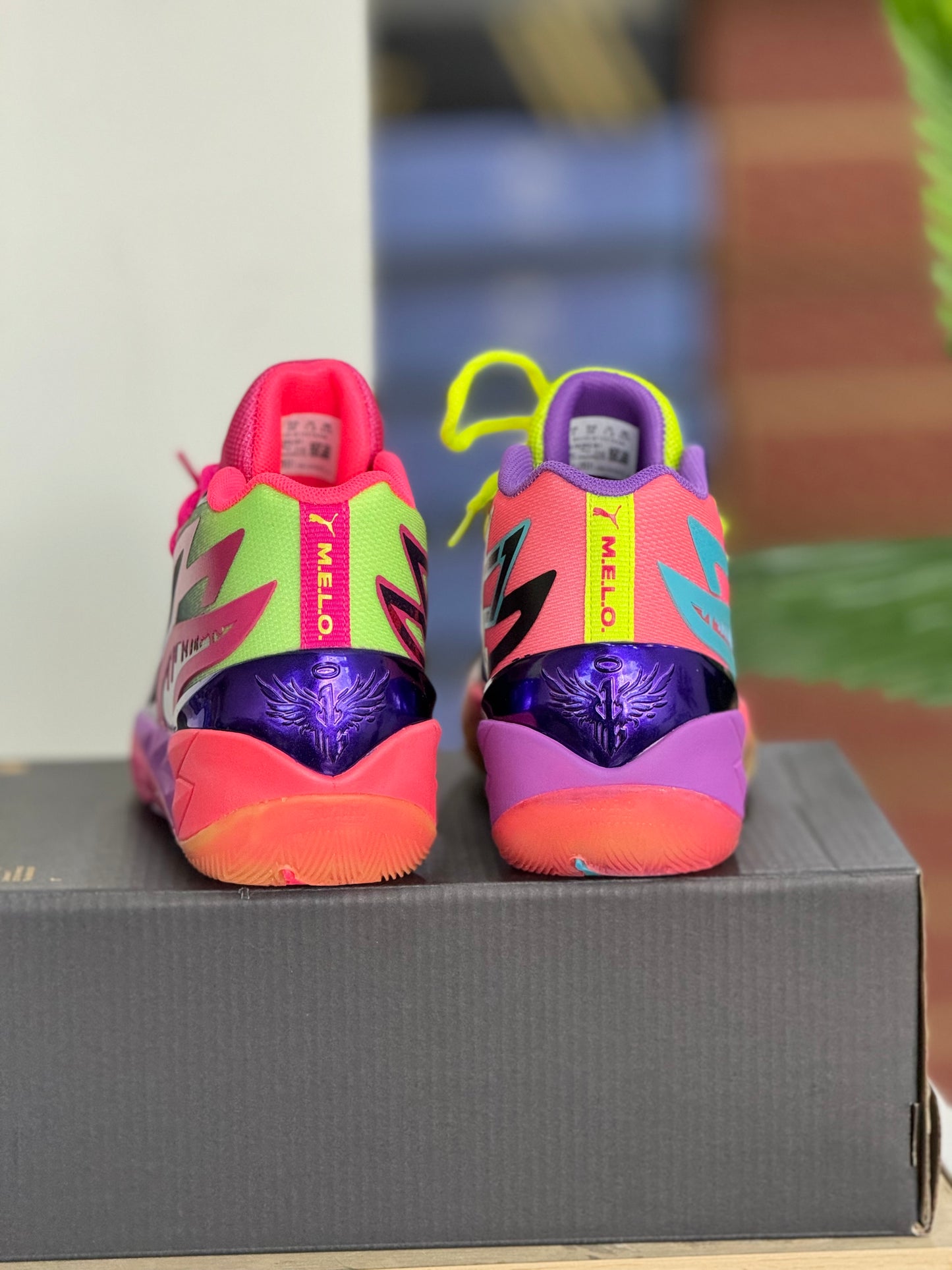 Puma Melo