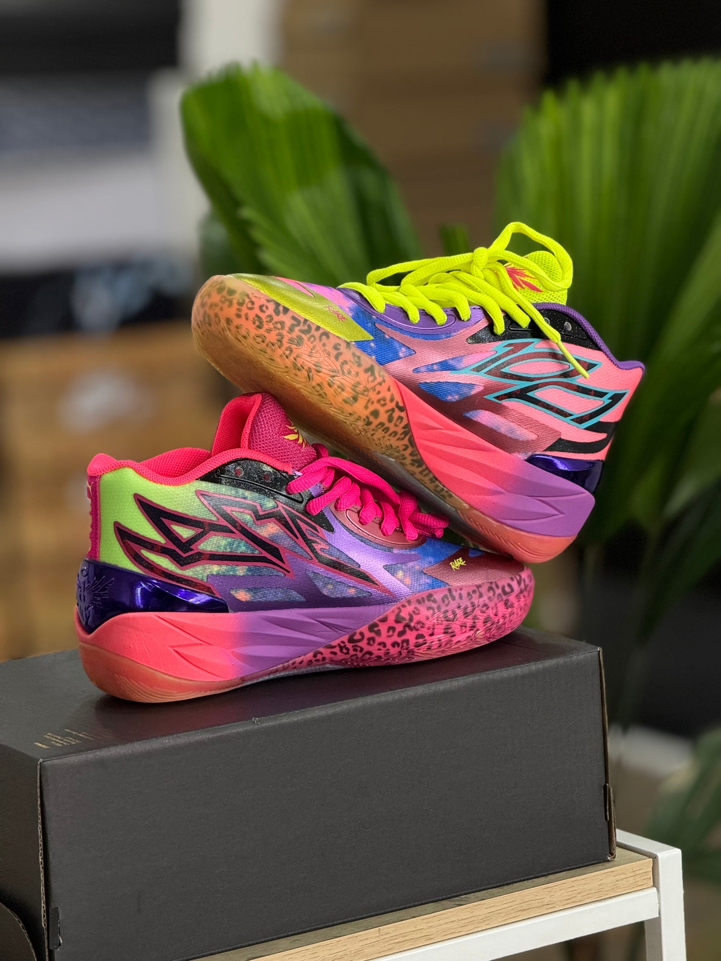 Puma Melo