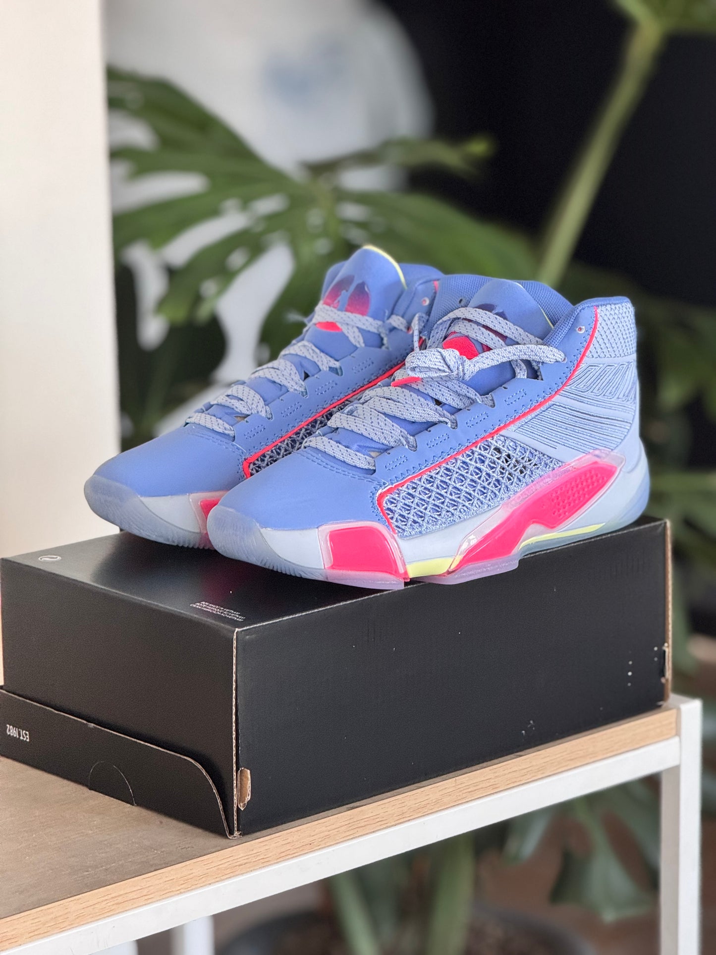 Jordan 38 GS