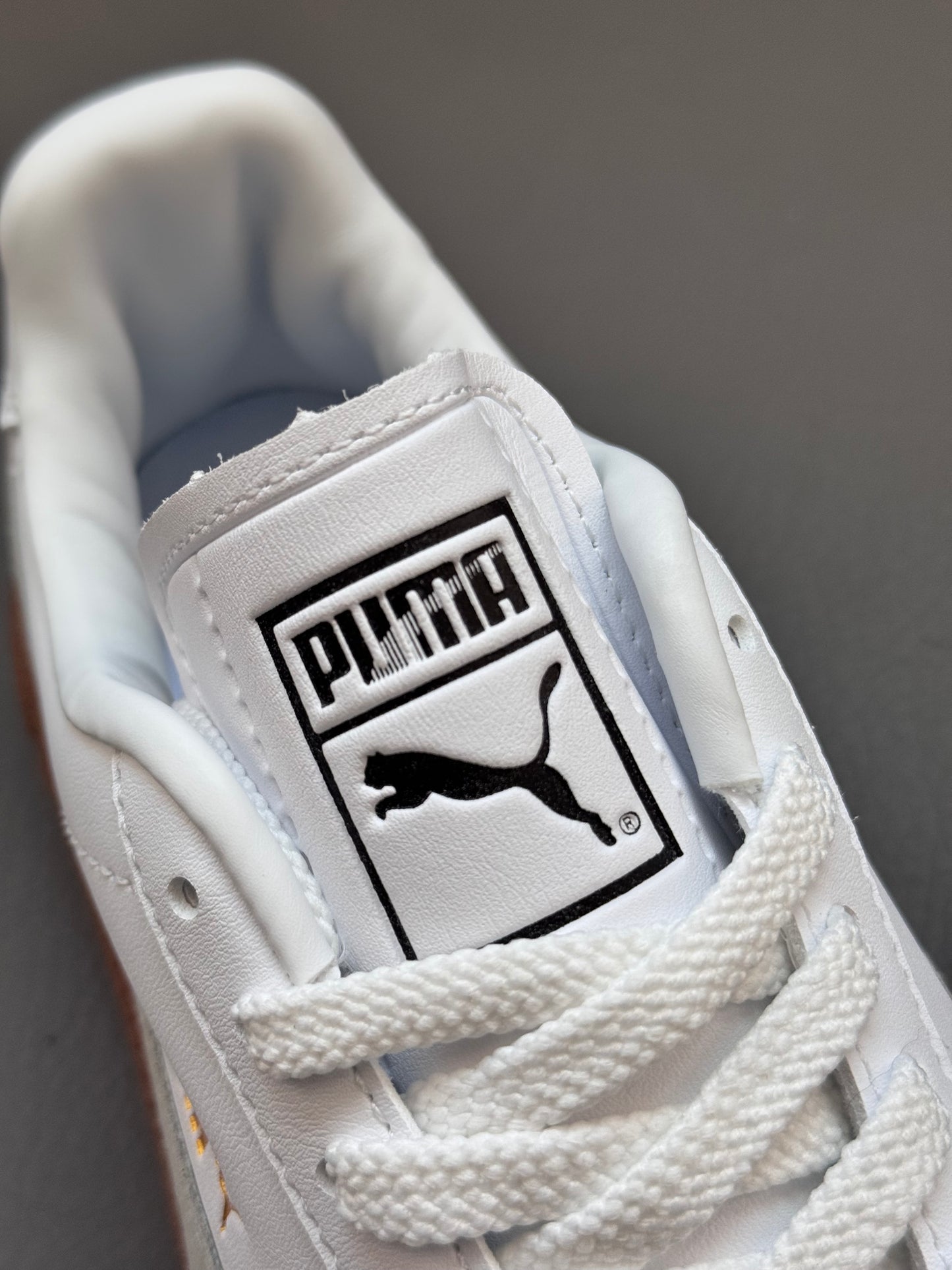 Puma Palermo