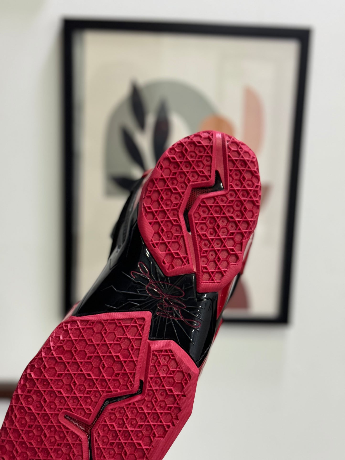 Nike Lebron