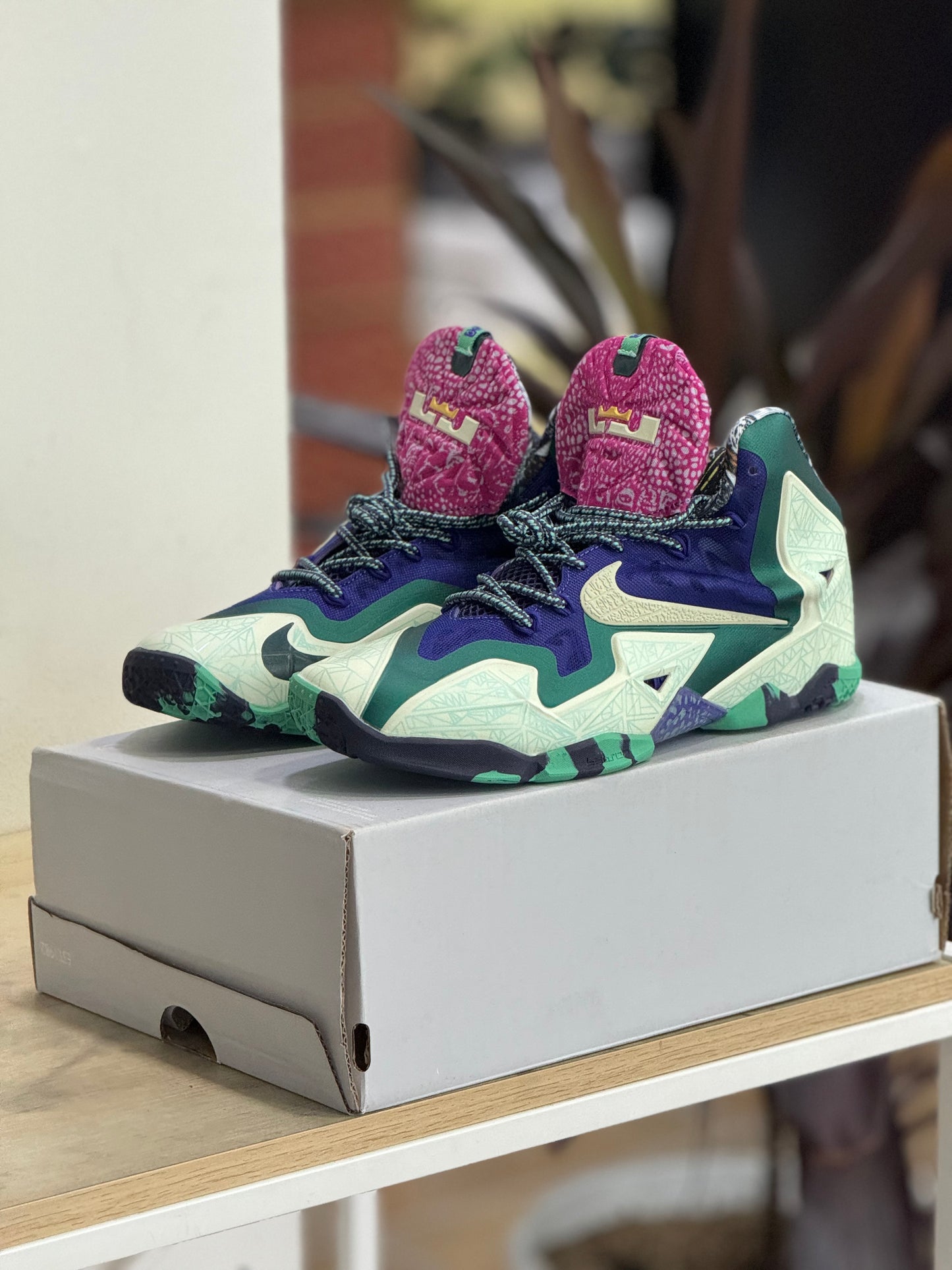 Nike Lebron