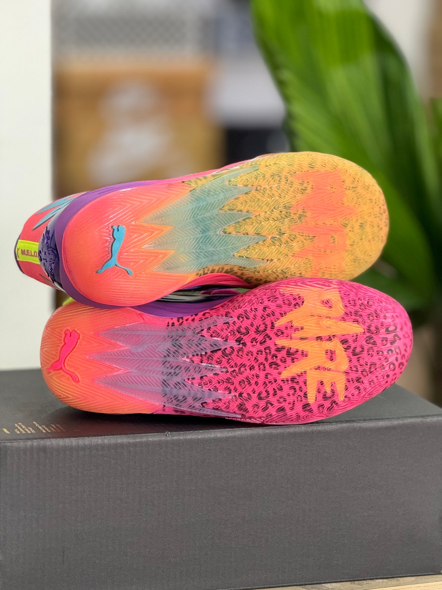 Puma Melo