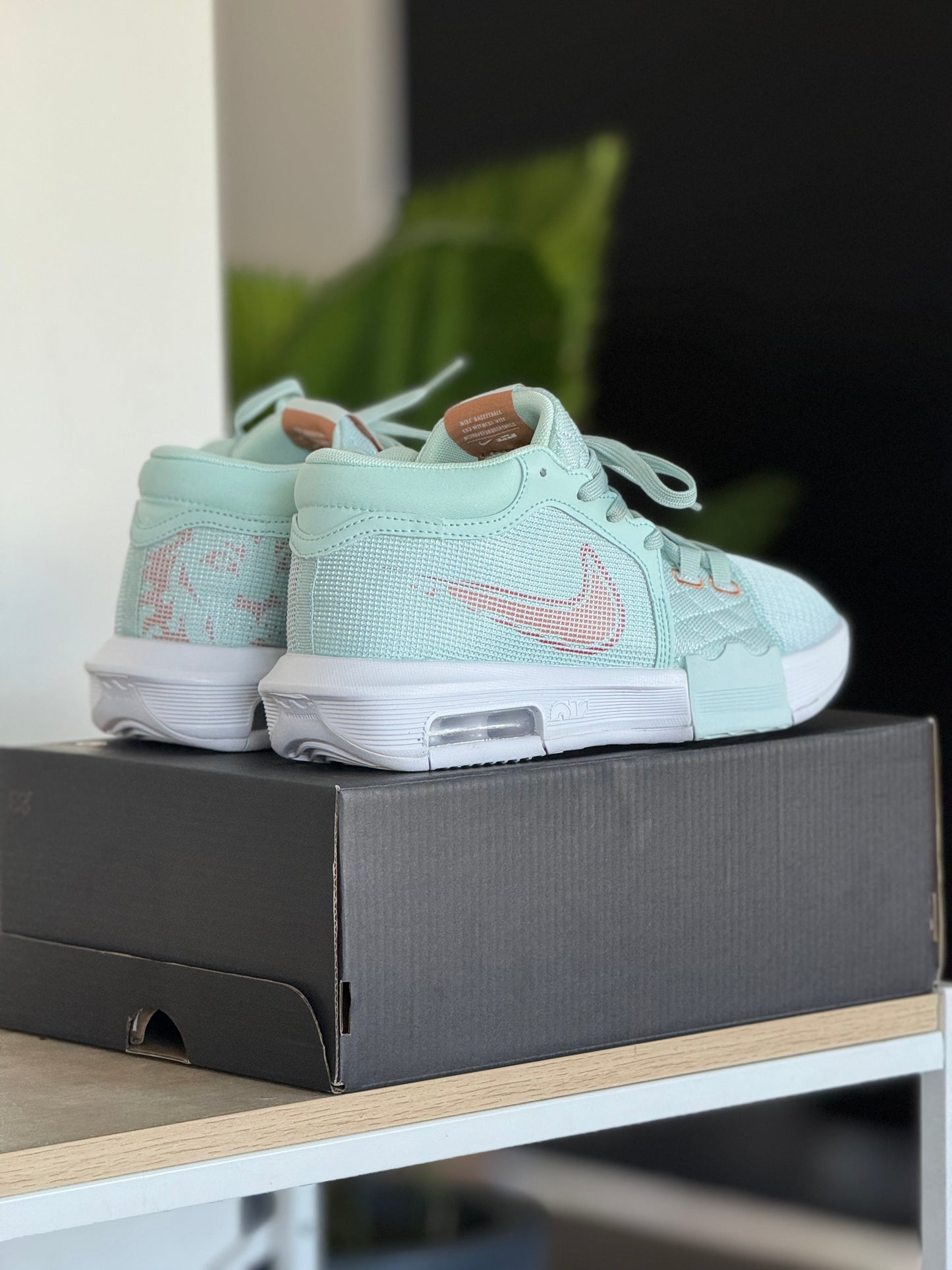 Nike Lebron