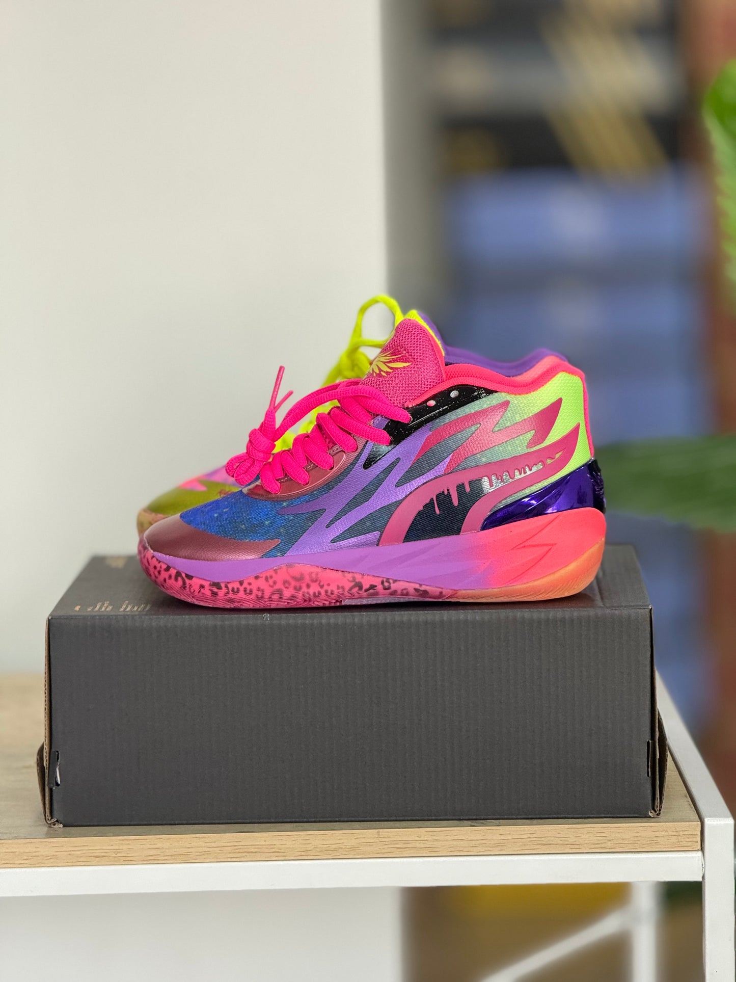 Puma Melo