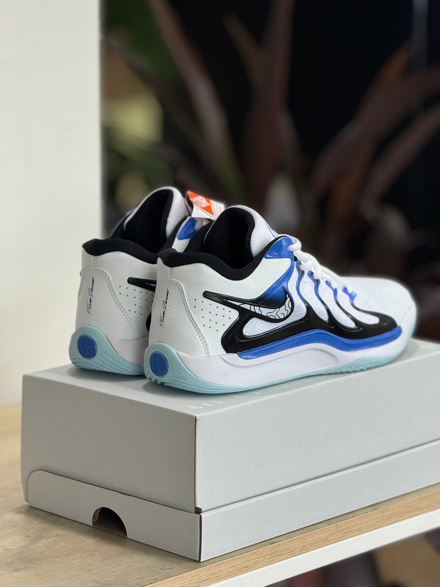 Nike KD17