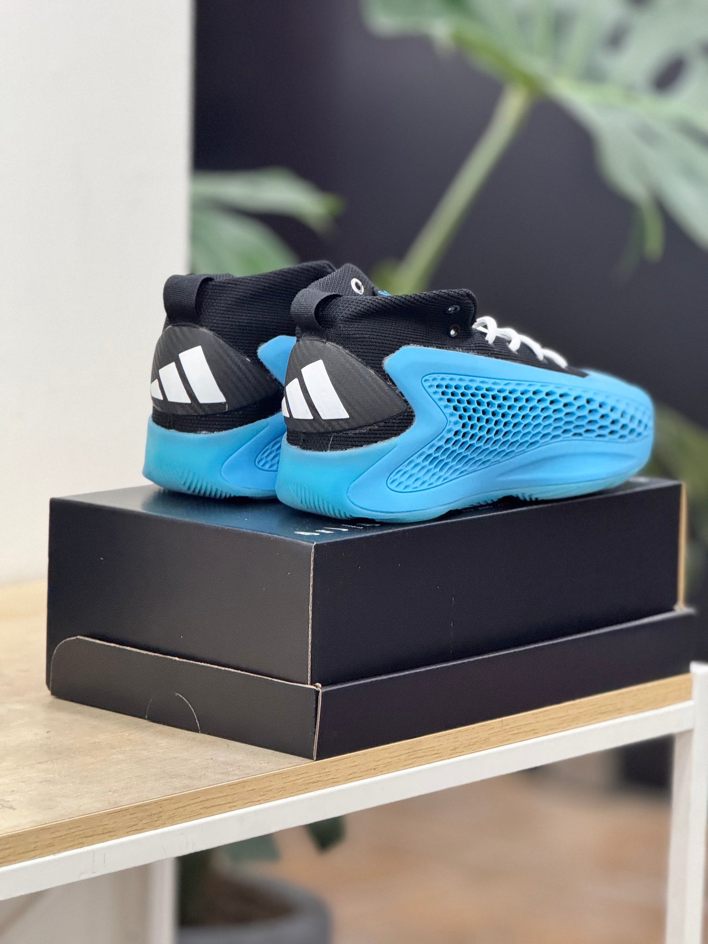 Adidas AE1