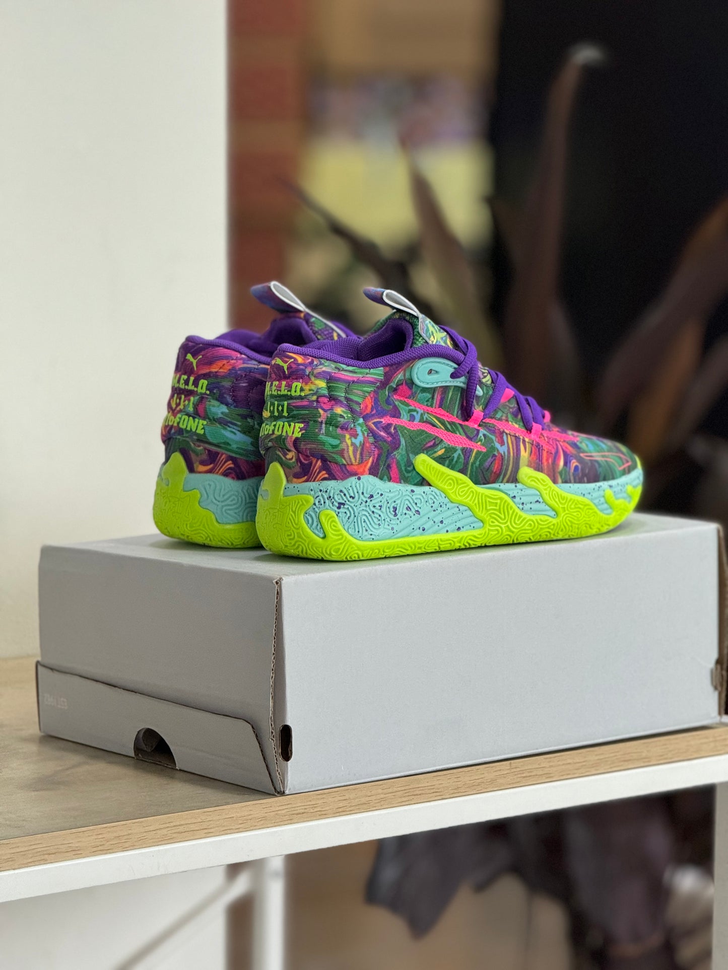 Puma Melo
