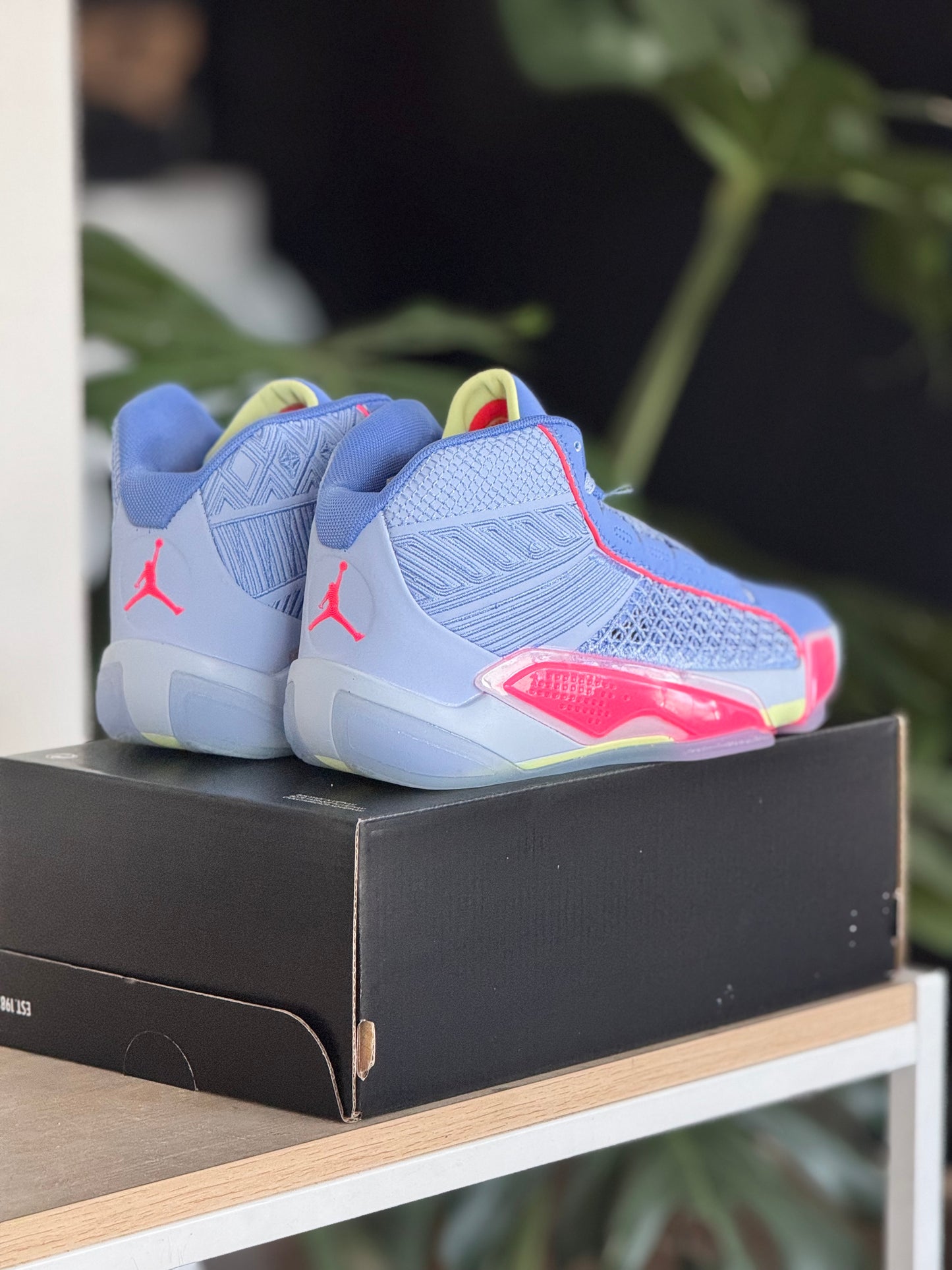 Jordan 38 GS
