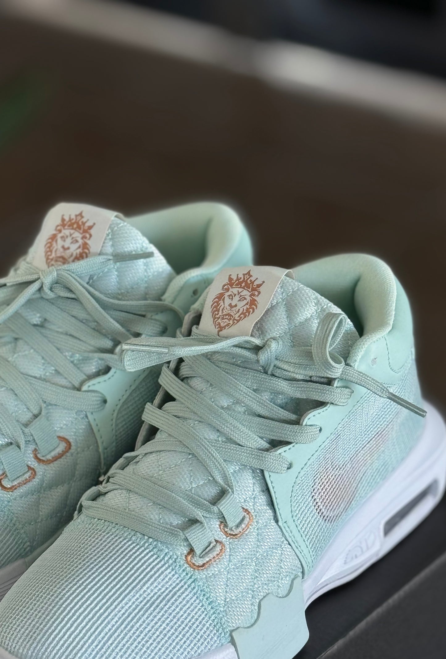 Nike Lebron