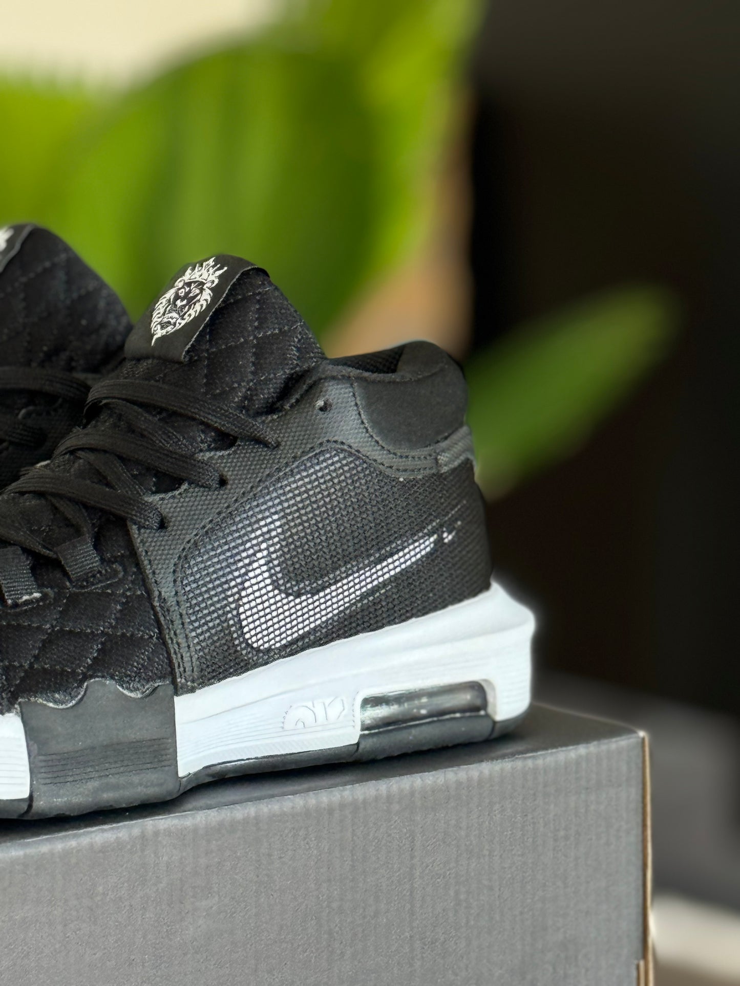 Nike Lebron