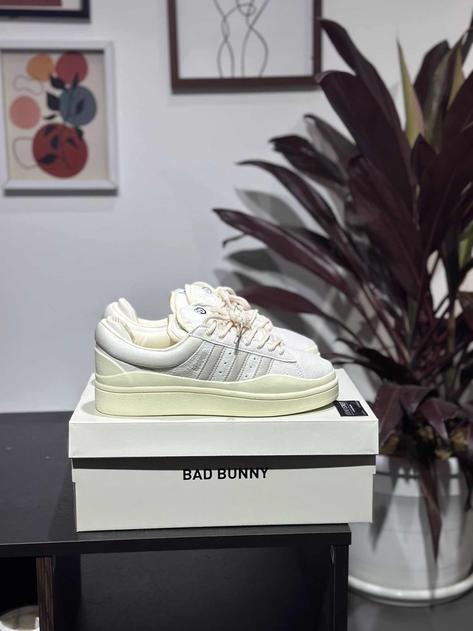 Bad Bunny X adidas Campus White Cloud Bad Bunny X adidas Campus White Cloud
