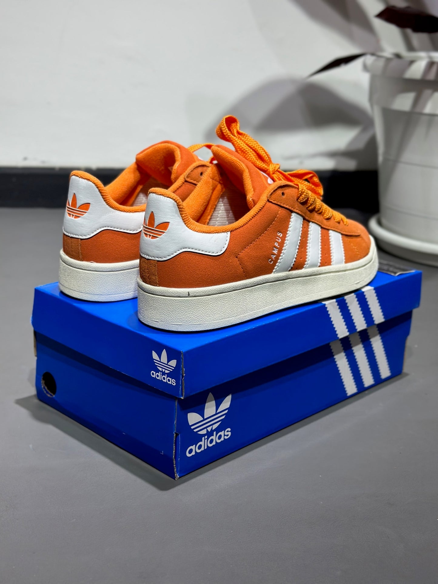 Adidas Campus 00s