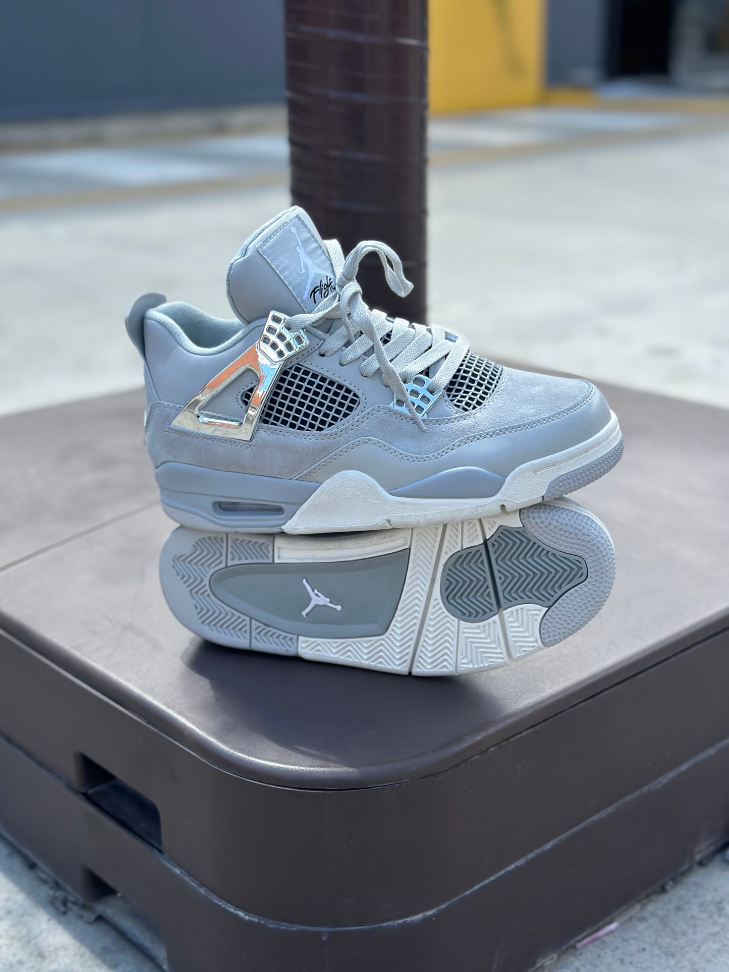 Air Jordan 4 Frozen