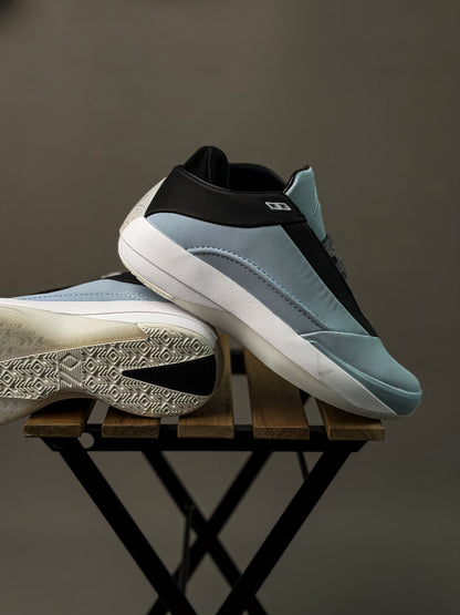 Air Jordan 40