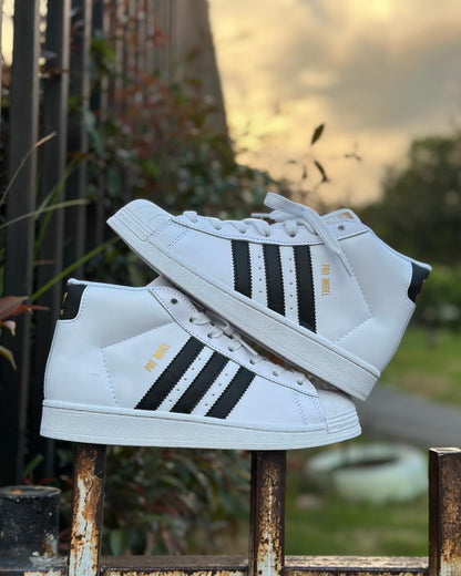 Adidas Superstar Pro Model