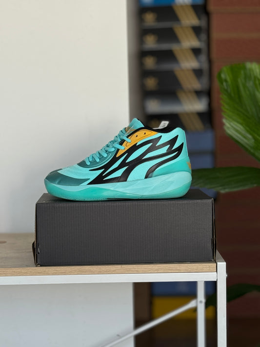 Puma Melo