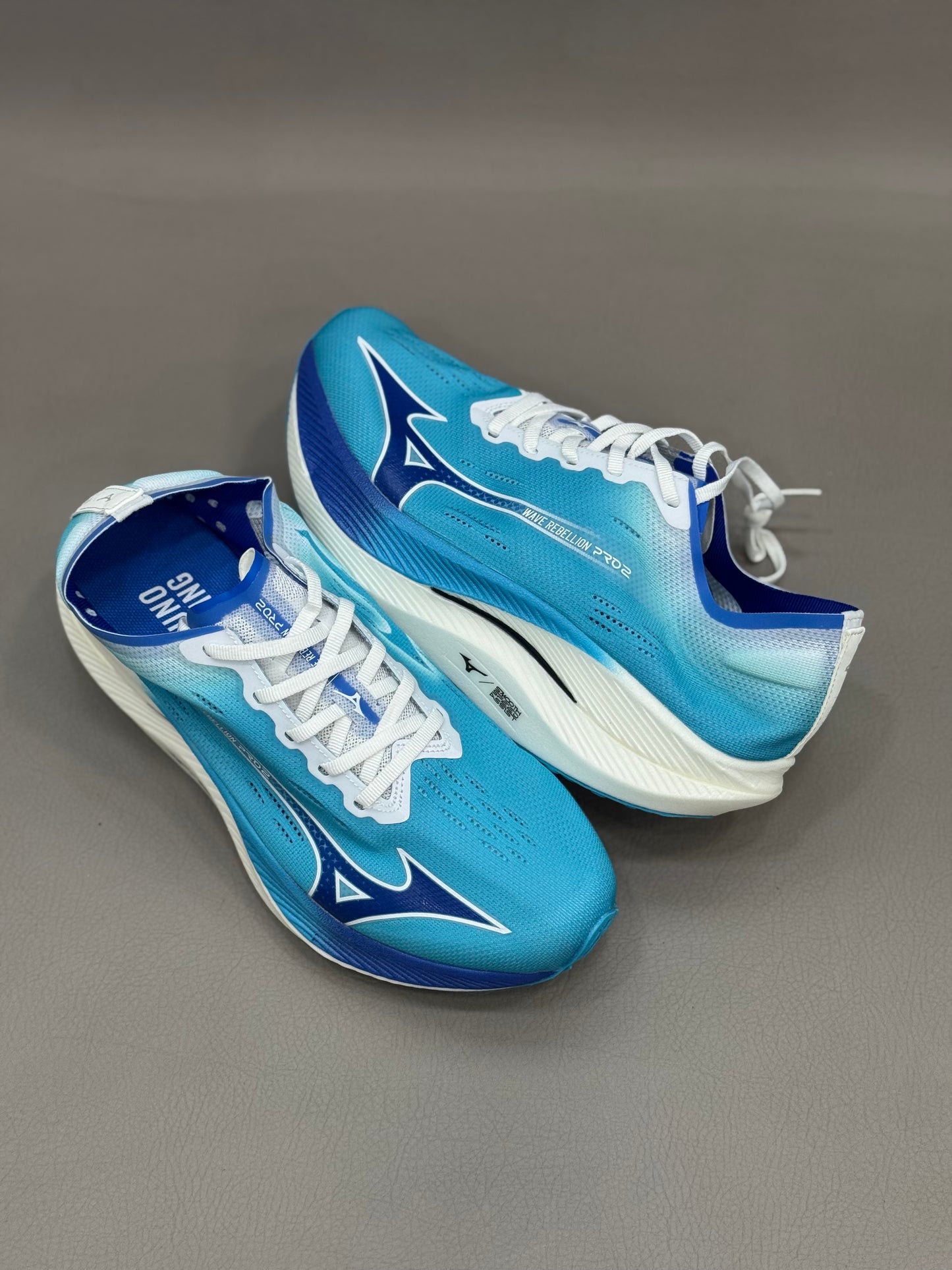 Mizuno Wave Rider