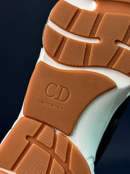 Dior B22