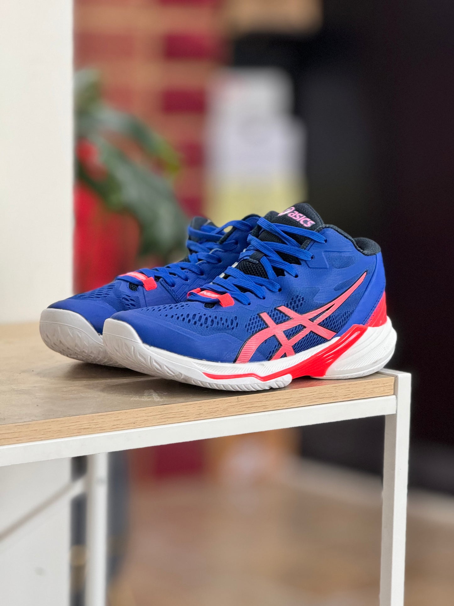 Asics Sky Élite Ff Mt2