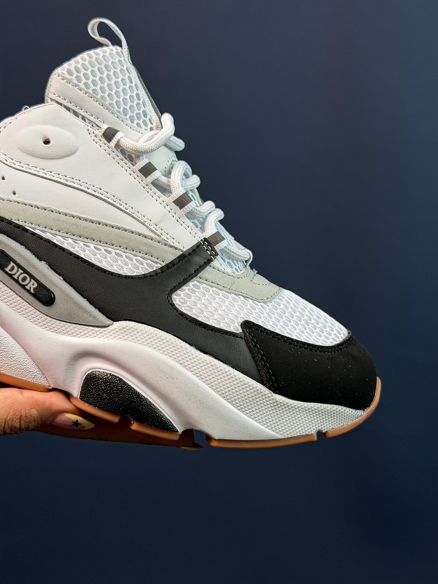 Dior B22