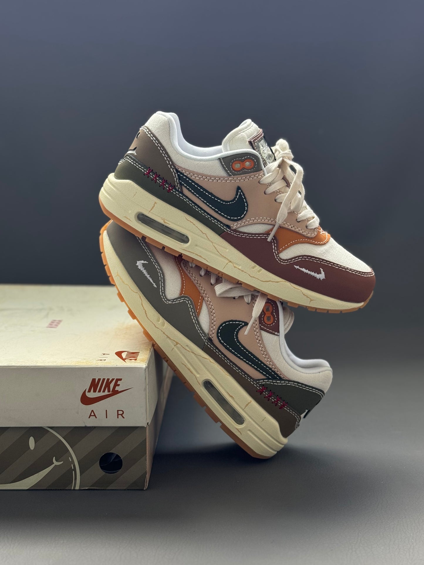 Nike Air Max 1 Premium Wabi