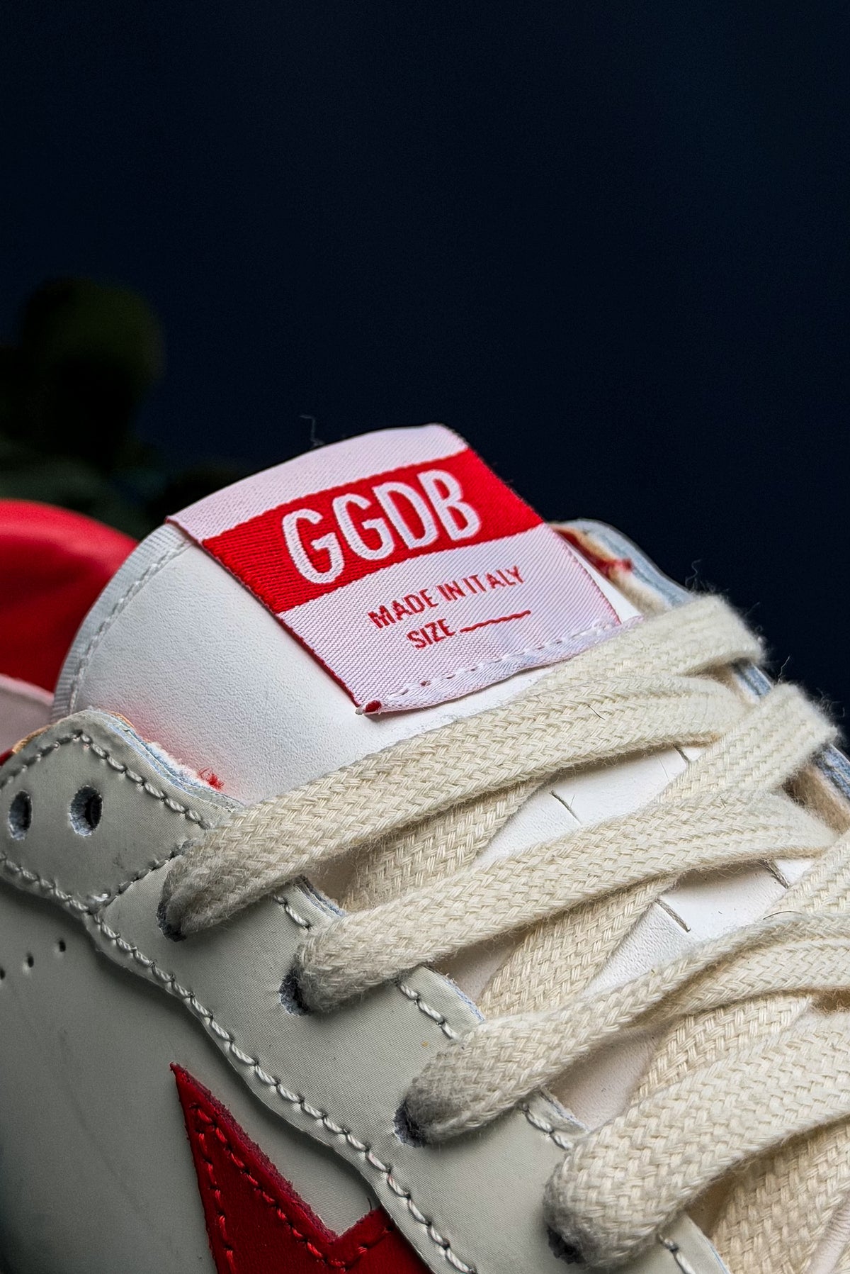 Golden Goose Ball Star