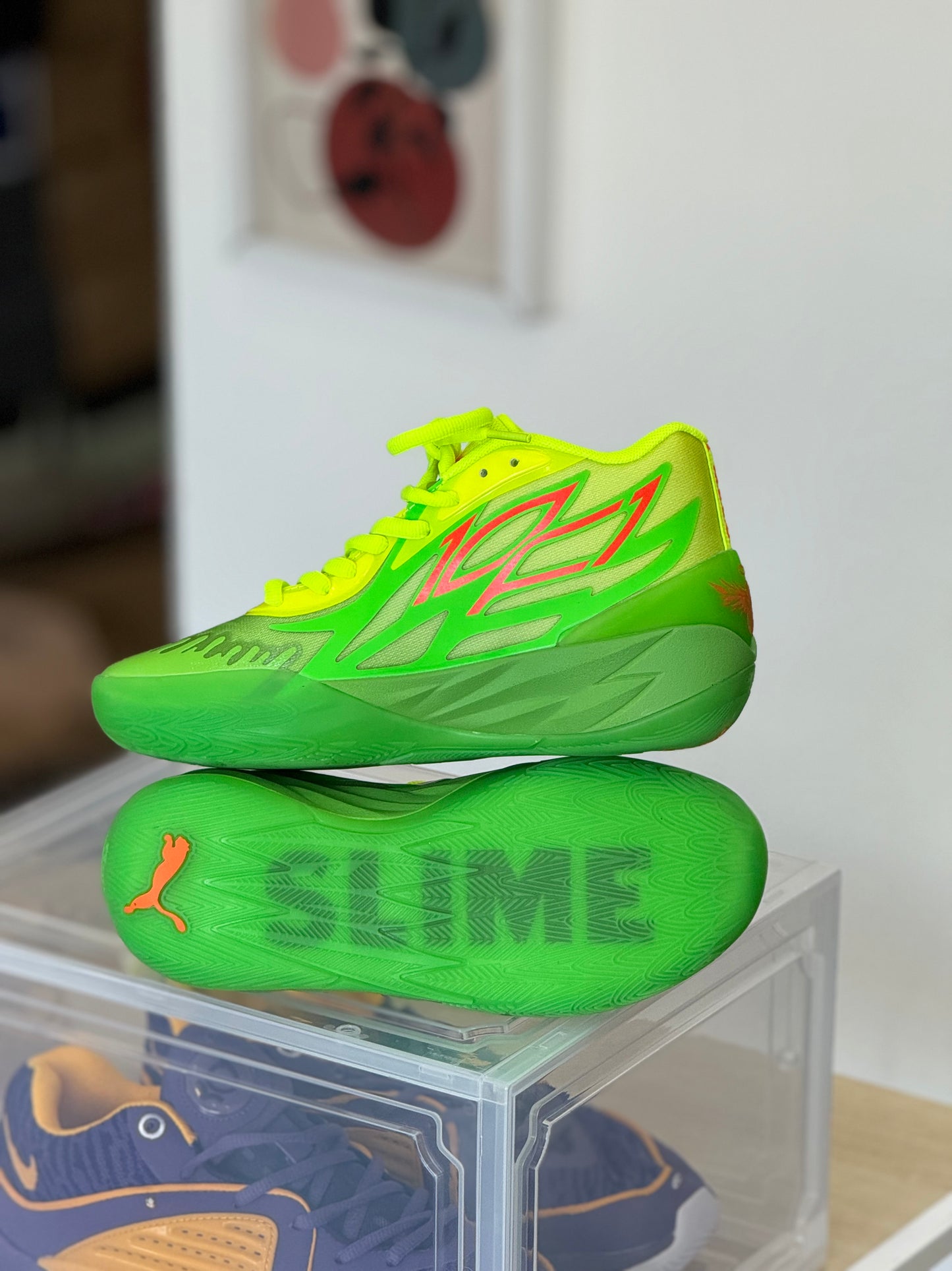 Puma Melo