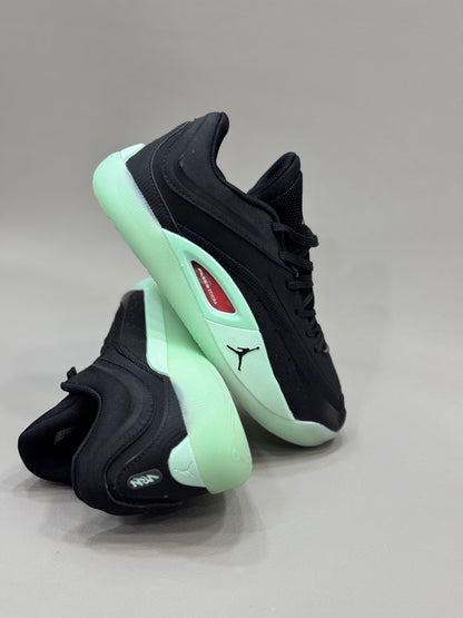 Jordan Zion 4