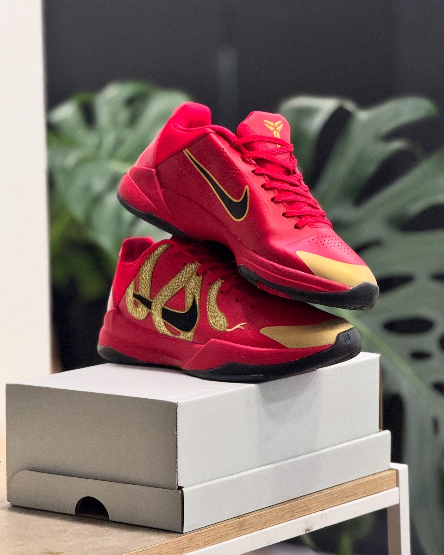 Nike Kobe 5 Protro Year of the Mamba University Red