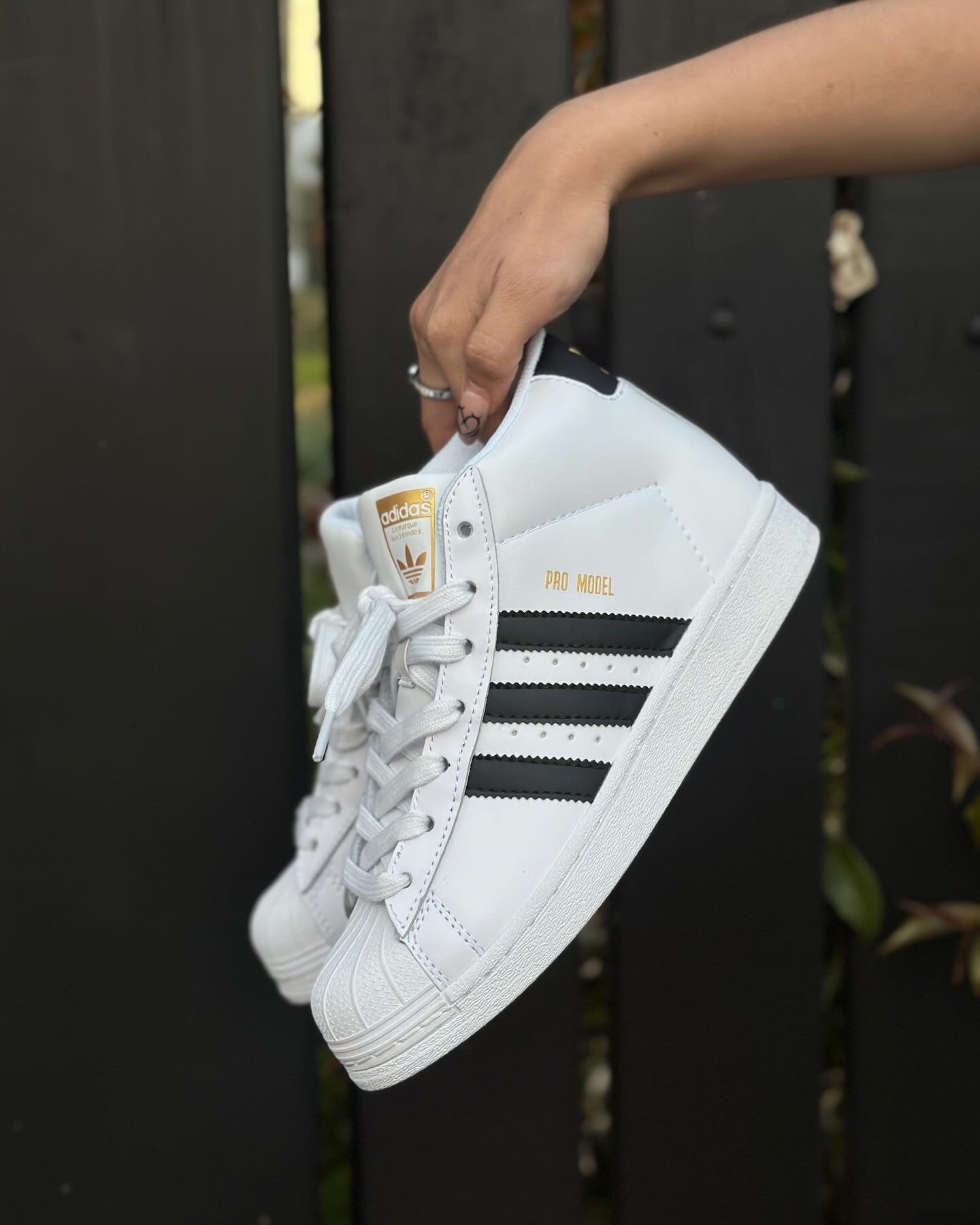 Adidas Superstar Pro Model