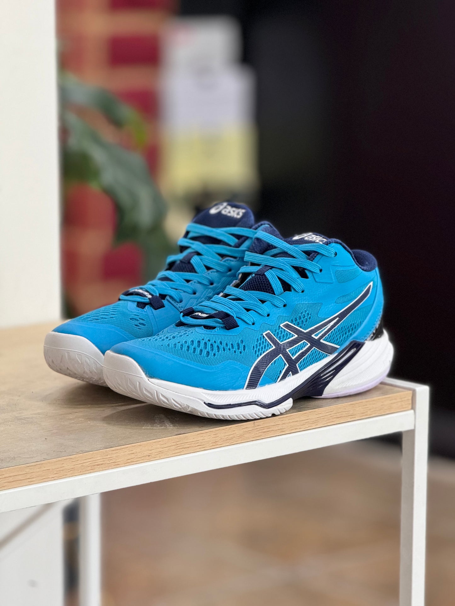 Asics Sky Elite FF MT2