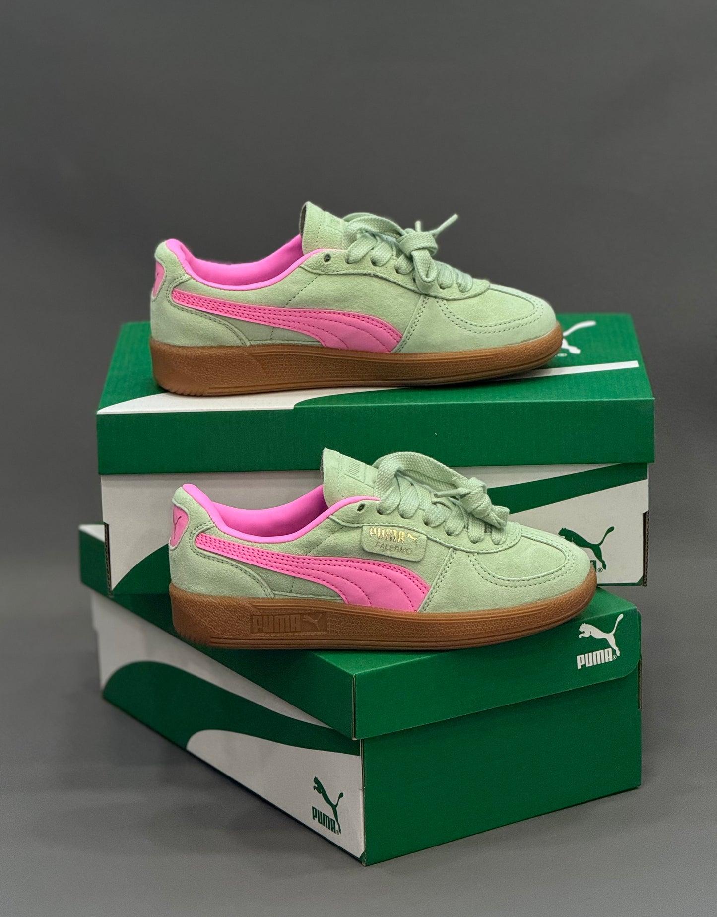 Puma Palermo