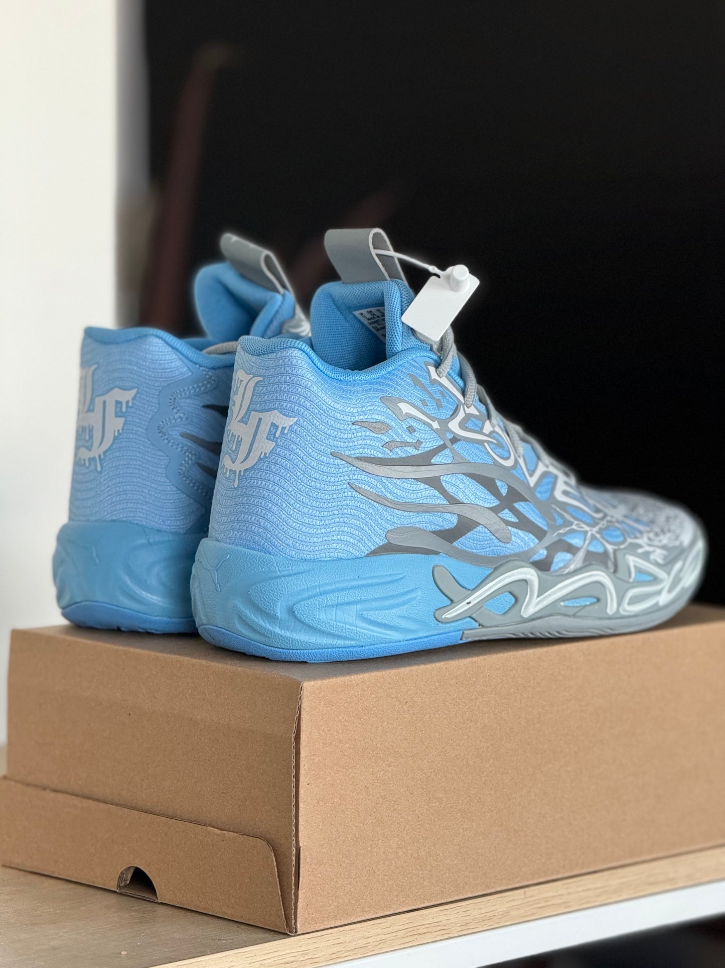 Puma Melo