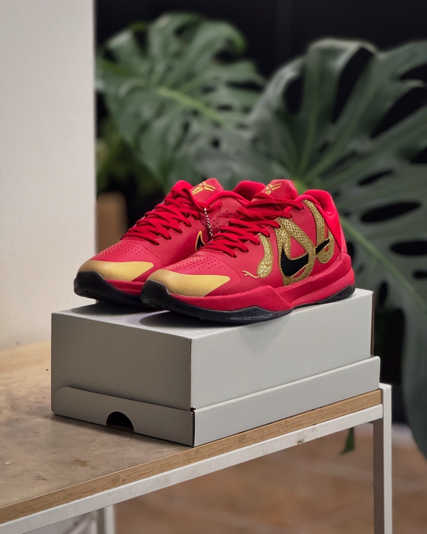 Nike Kobe 5 Protro Year of the Mamba University Red