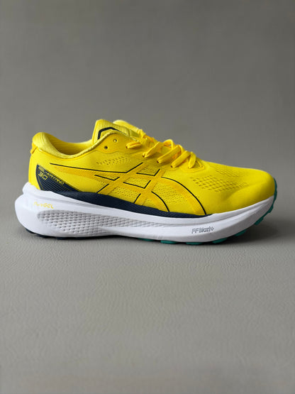 Asics Kayano 30