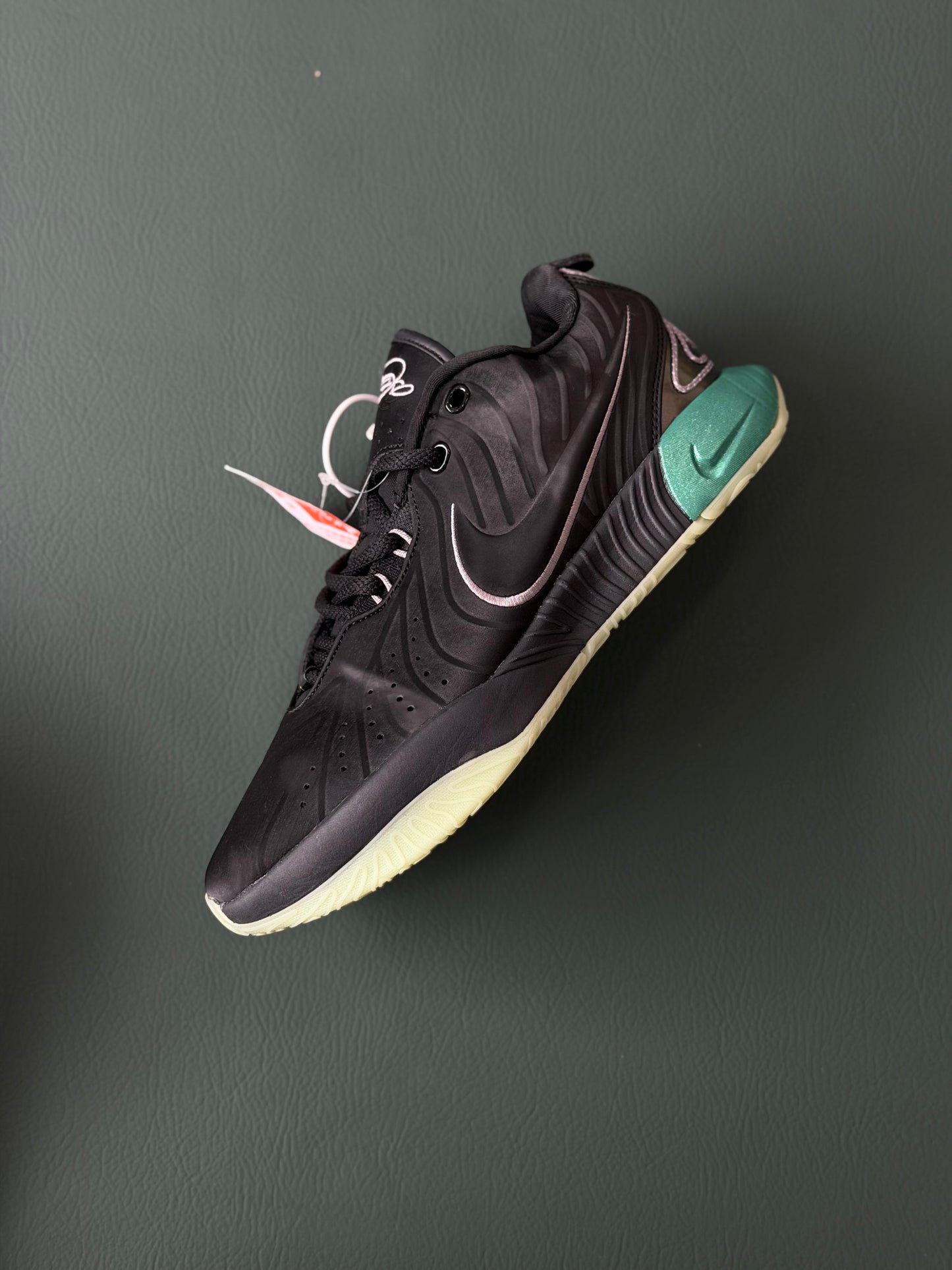 Nike Lebron 21