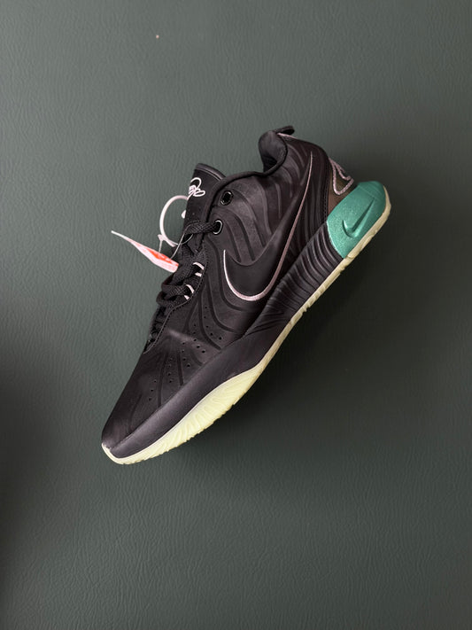 Nike Lebron 21