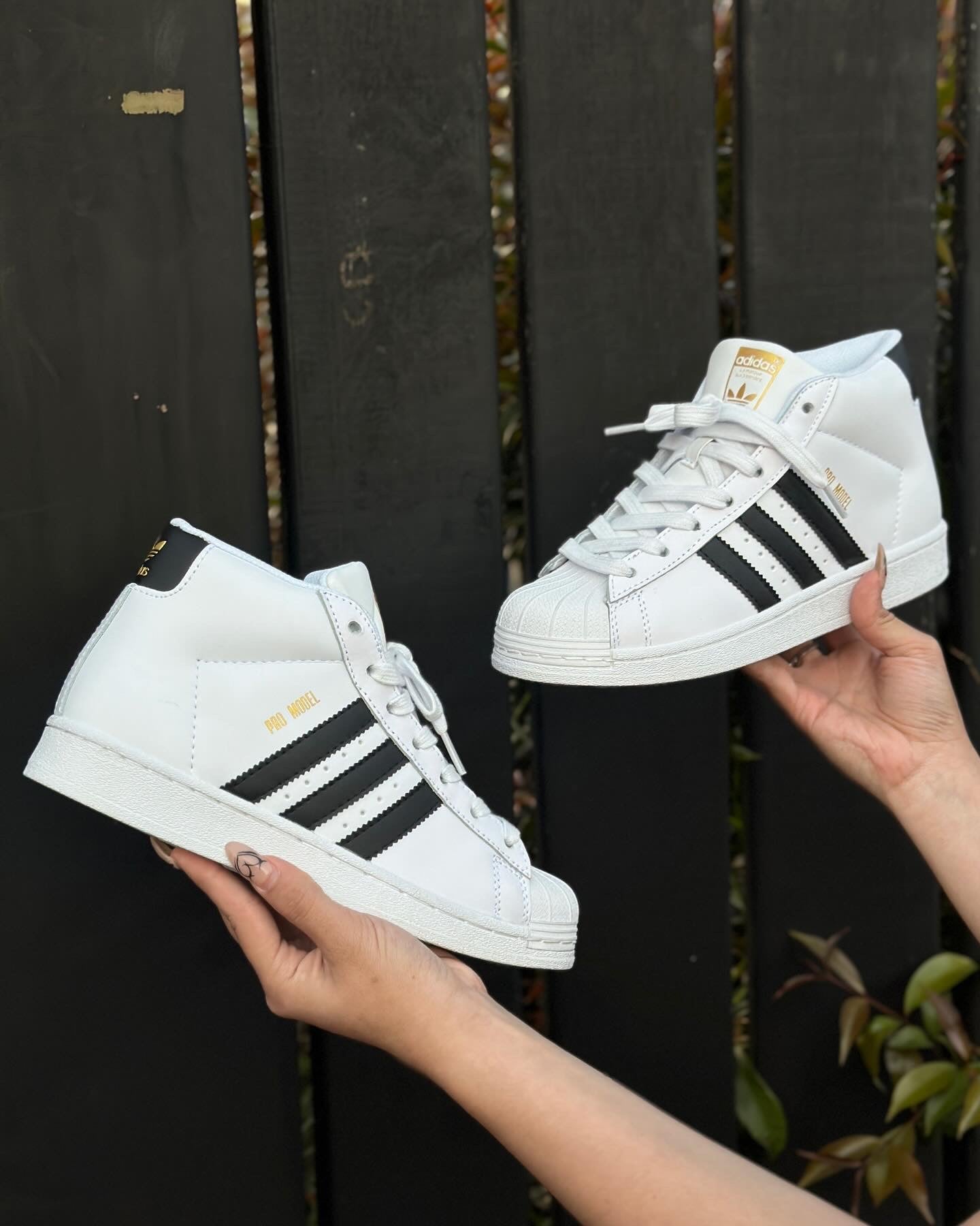 Adidas Superstar Pro Model