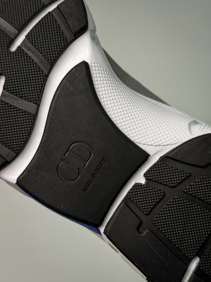 Dior B22