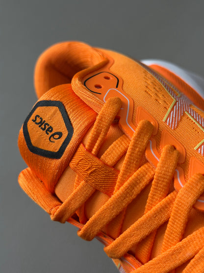 Asics Kayano 30