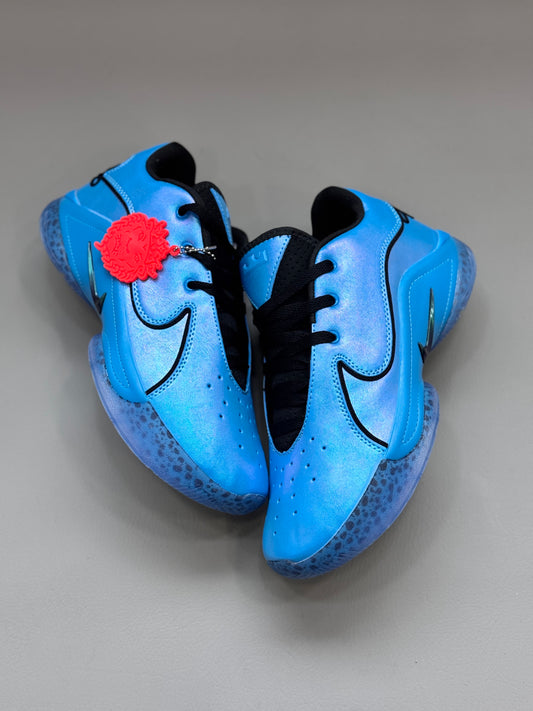 Niek LeBron 22